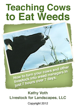 Teaching Cows to Eat Weeds DVD